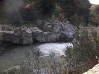 cantara gurne23122011 163